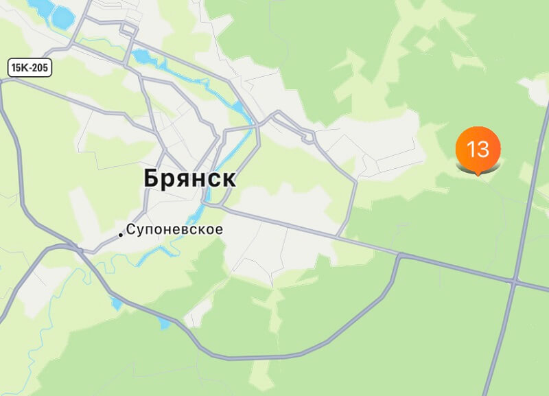 зона кикшеринг брянск