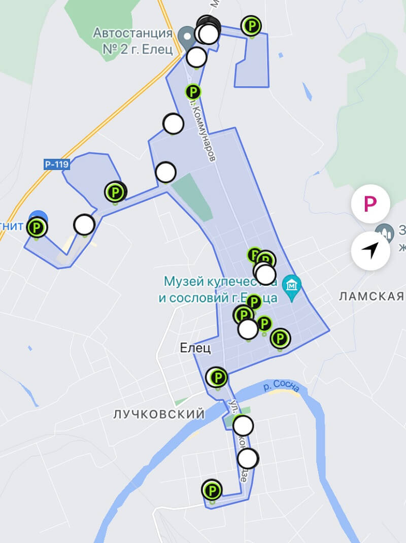 зона кикшеринг елец